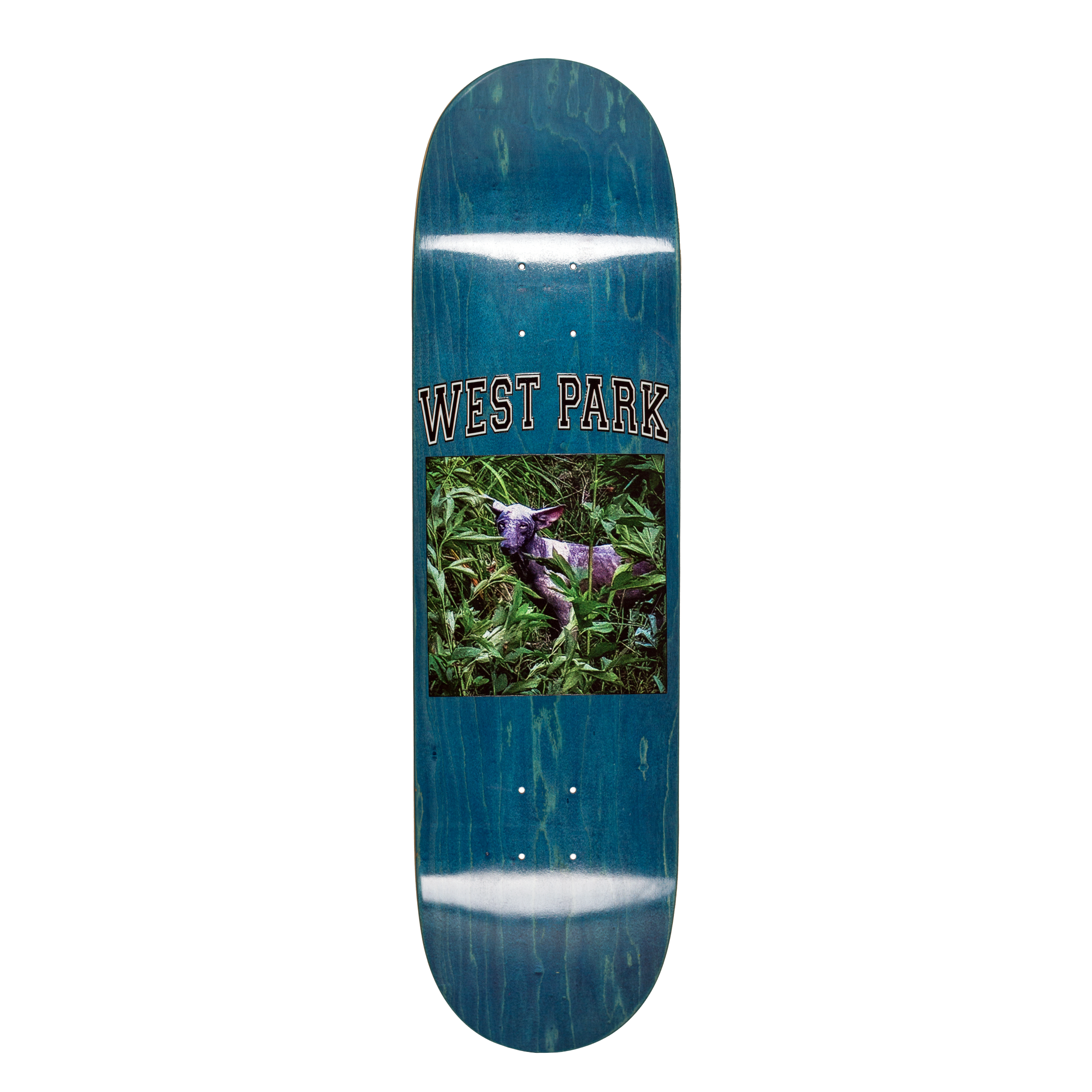 Aaron Loreth - West Park – limosineskateboards